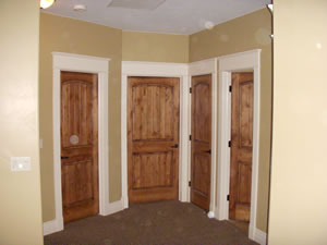 Doors with MDF trim